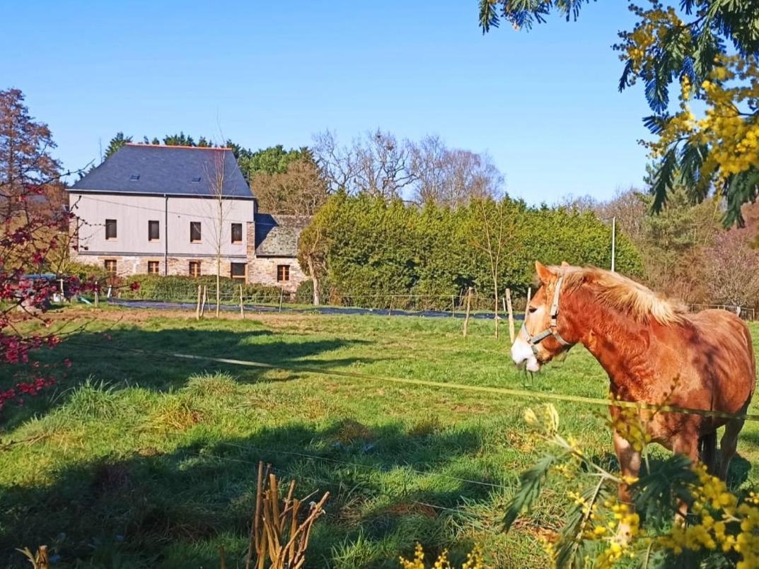 Chambre D'Hote En Gite - Moulin De La Houssaie - Broceliande Guer Dış mekan fotoğraf