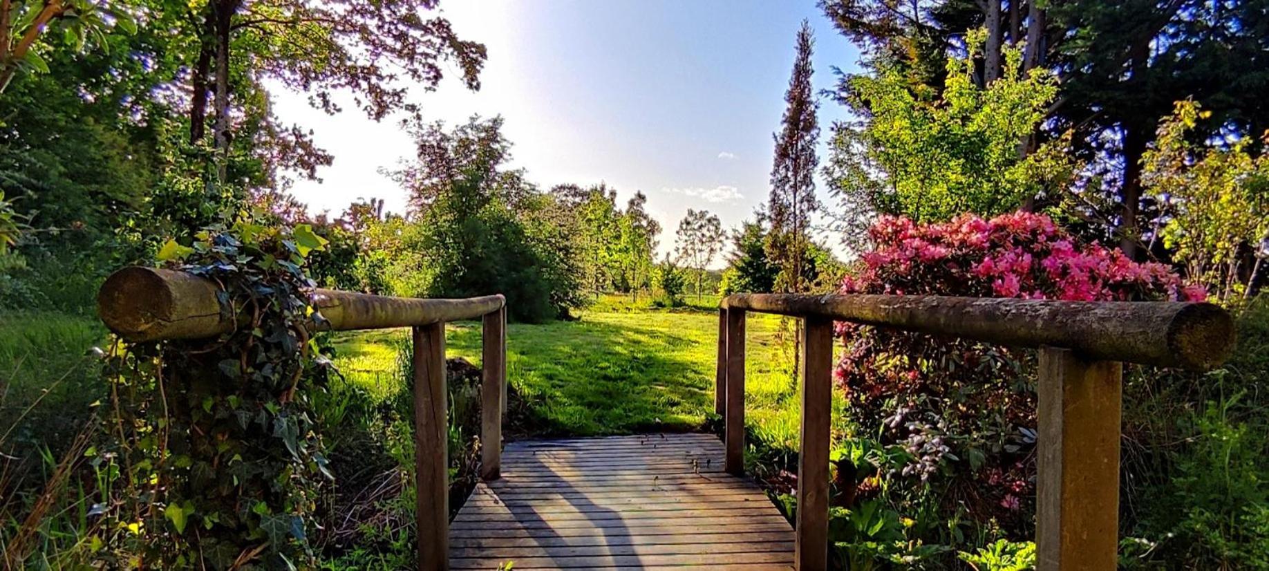 Chambre D'Hote En Gite - Moulin De La Houssaie - Broceliande Guer Dış mekan fotoğraf